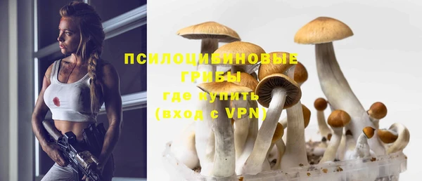 соль ск Ладушкин